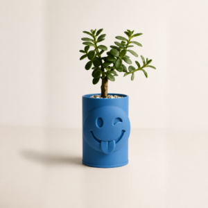 Emoji Planter – 3D Baskı Göz Kırpan Yüzlü Sukulent Saksısı-Mavi