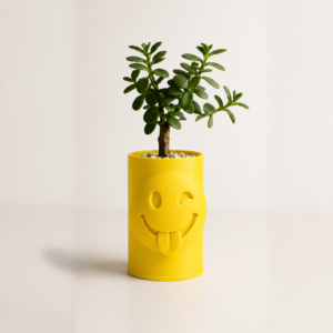 Emoji Planter – 3D Baskı Göz Kırpan Yüzlü Sukulent Saksısı-Sarı