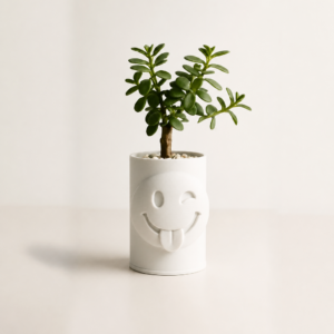 Emoji Planter – 3D Baskı Göz Kırpan Yüzlü Sukulent Saksısı-Beyaz