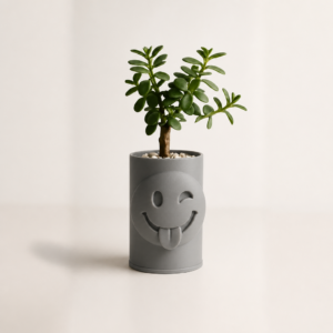 Emoji Planter – 3D Baskı Göz Kırpan Yüzlü Sukulent Saksısı-Gri