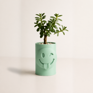 Emoji Planter – 3D Baskı Göz Kırpan Yüzlü Sukulent Saksısı-Mint