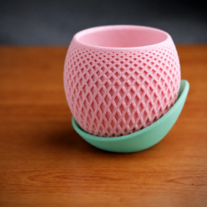 Küre Saksı – 3D Baskı Kafes Dokulu İki Parçalı Dekoratif Saksı - Pembe-Mint