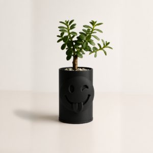Emoji Planter – 3D Baskı Göz Kırpan Yüzlü Sukulent Saksısı-Siyah