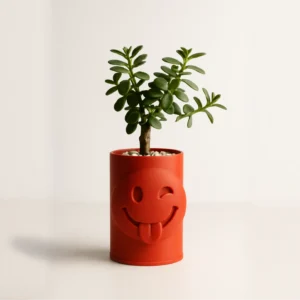 Emoji Planter – 3D Baskı Göz Kırpan Yüzlü Sukulent Saksısı-Turuncu