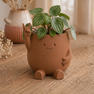 Smiley Face Planter – 3D Baskı Gülümseyen Karakterli Saksı-Kahverengi