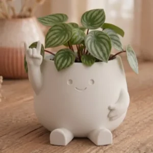 Smiley Face Planter – 3D Baskı Gülümseyen Karakterli Saksı-Beyaz