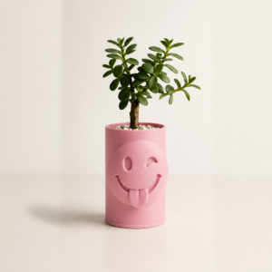 Emoji Planter – 3D Baskı Göz Kırpan Yüzlü Sukulent Saksısı-Pembe
