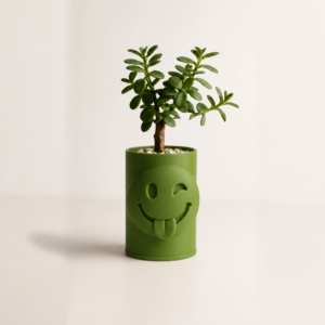 Emoji Planter – 3D Baskı Göz Kırpan Yüzlü Sukulent Saksısı-Yeşil