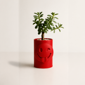 Emoji Planter – 3D Baskı Göz Kırpan Yüzlü Sukulent Saksısı-Kırmızı