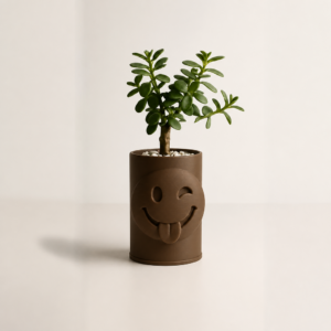 Emoji Planter – 3D Baskı Göz Kırpan Yüzlü Sukulent Saksısı-Kahverengi