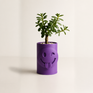 Emoji Planter – 3D Baskı Göz Kırpan Yüzlü Sukulent Saksısı-Mor