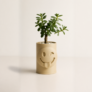 Emoji Planter – 3D Baskı Göz Kırpan Yüzlü Sukulent Saksısı-Bej