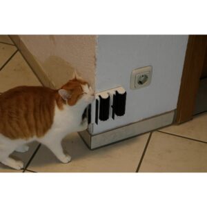 Kişiselleştirilebilir Duvara Montajlı Kedi Kaşınma Fırçası